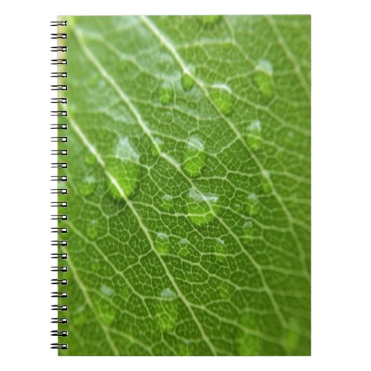 Green Leaf Notitieboek (Voorkant)
