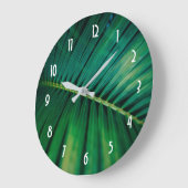 Green Leaf Palm Frond Closeup Foto Grote Klok (Hoek)