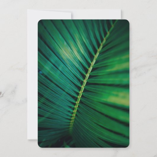 Green Leaf Palm Frond Closeup Photo Wedding Save The Date (Achterkant)