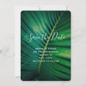 Green Leaf Palm Frond Closeup Photo Wedding Save The Date (Voorkant)