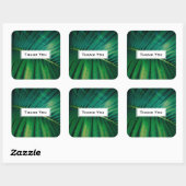 Green Leaf Palm Frond Tropische Natuur Dank u Vierkante Sticker (Vel)