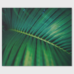 Green Leaf Palm Frond Tropische Natuur Foto Cadeaupapier
