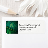 Green Leaf Palm Frond Tropische Natuur Foto Etiket (Insitu)