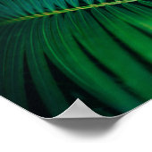 Green Leaf Palm Frond Tropische Natuur Foto Poster (Hoek)