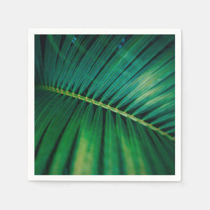 Green Leaf Palm Frond Tropische Natuur Foto Servet