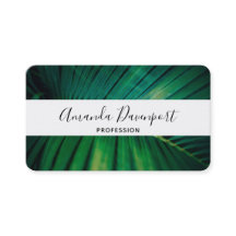 Green Leaf Palm Frond Tropische Natuur Foto