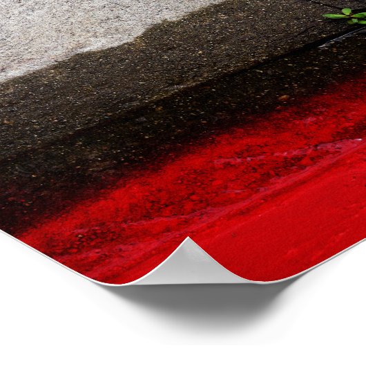 Green Leaf Poster (Hoek)