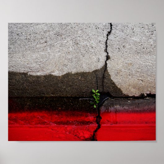 Green Leaf Poster (Voorkant)