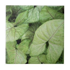 Green Leaf Print Tegeltje