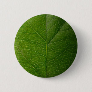Green Leaf Ronde Button 5,7 Cm