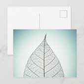 Green Leaf Skeleton Briefkaart (Voorkant / Achterkant)