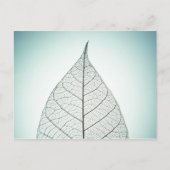Green Leaf Skeleton Briefkaart (Voorkant)