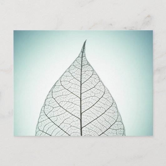 Green Leaf Skeleton Briefkaart (Voorkant)