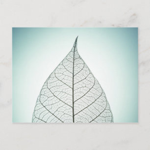 Green Leaf Skeleton Briefkaart