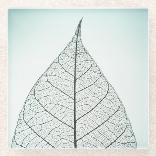 Green Leaf Skeleton Glazen Onderzetter (Voorkant)