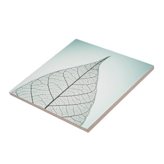 Green Leaf Skeleton Tegeltje (Zijkant)