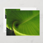 Green Leaf Swirl Briefkaart (Voorkant / Achterkant)