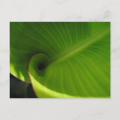 Green Leaf Swirl Briefkaart (Voorkant)