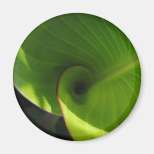 Green Leaf Swirl Magneet