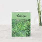 Green Leaf - Thank You Card Kaart (Voorkant)