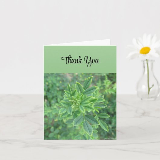 Green Leaf - Thank You Card Kaart (Kleine Plant)