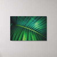 Green Leaf Tropical Forest Natuur Foto