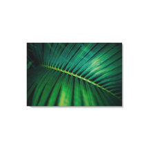 Green Leaf Tropical Forest Natuur Foto