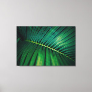 Green Leaf Tropical Forest Natuur Foto Canvas Afdruk