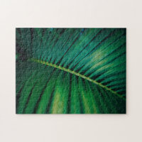 Green Leaf Tropical Forest Natuur Foto