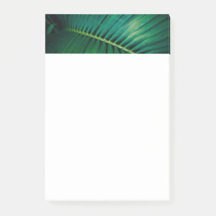 Green Leaf Tropical Forest Natuur Foto Post-it® Notes