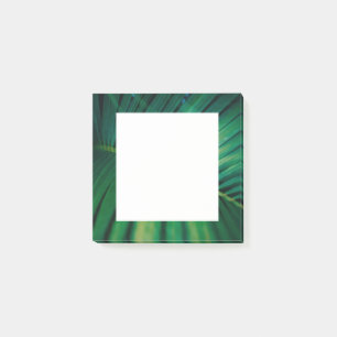 Green Leaf Tropical Forest Natuur Foto Post-it® Notes