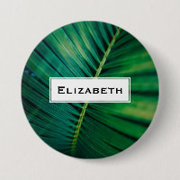 Green Leaf Tropical Forest Natuur Foto
