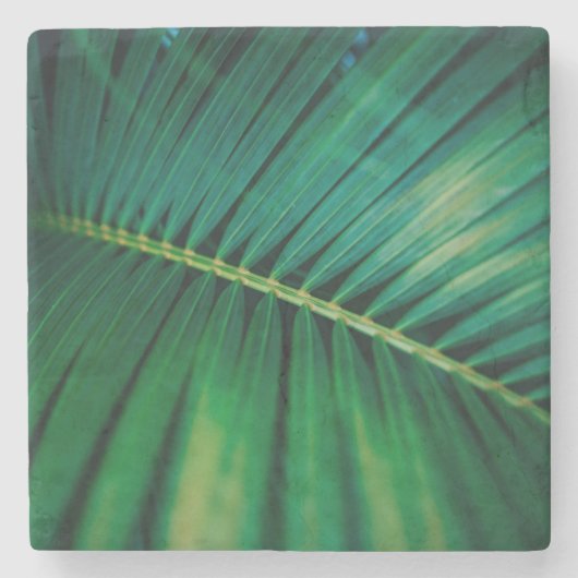 Green Leaf Tropical Forest Natuur Foto Stenen Onderzetter (Voorkant)