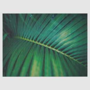 Green Leaf Tropical Forest Natuur Foto Tissuepapier