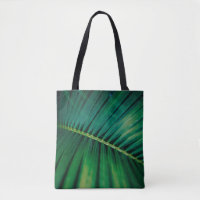 Green Leaf Tropical Forest Natuur Foto