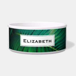 Green Leaf Tropical Forest Natuur Foto Voerbakje