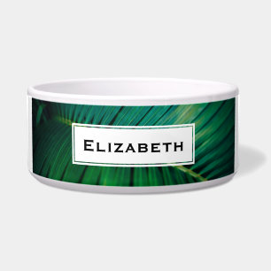 Green Leaf Tropical Forest Natuur Foto Voerbakje