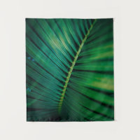 Green Leaf Tropical Forest Natuur Foto