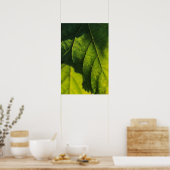 Green Leaf Veins Poster (Keuken)
