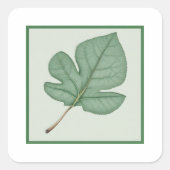 Green Leaf Vierkante Sticker (Voorkant)