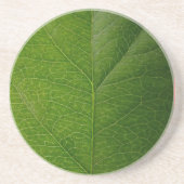 Green Leaf Zandsteen Onderzetter (Voorkant)