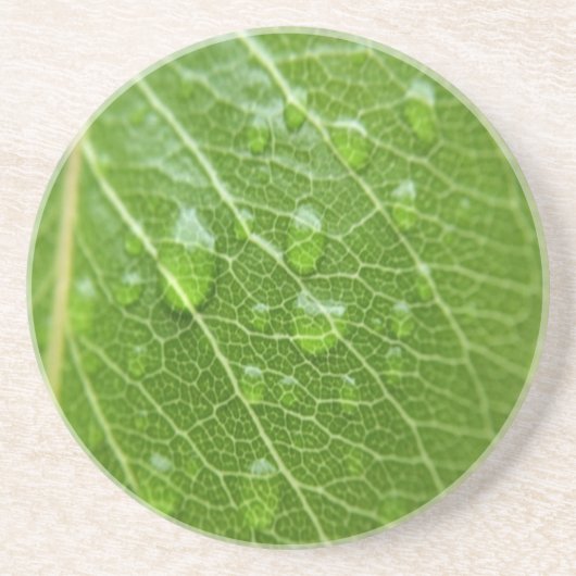 Green Leaf Zandsteen Onderzetter (Voorkant)