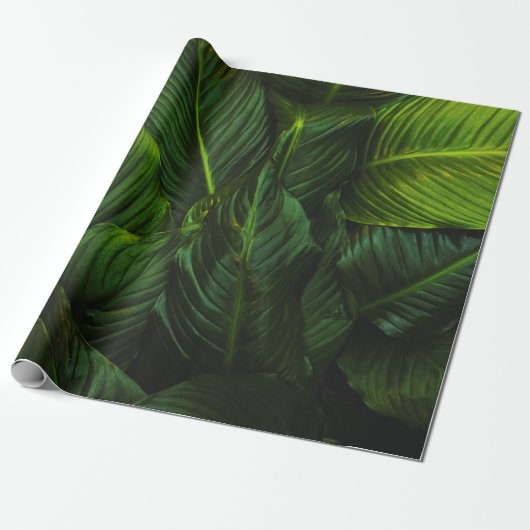 GREEN-LEAFED PLANT CADEAUPAPIER (Uitgerold)