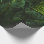 GREEN-LEAFED PLANT CADEAUPAPIER (Hoek)