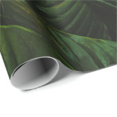 GREEN-LEAFED PLANT CADEAUPAPIER (Rol Hoek)