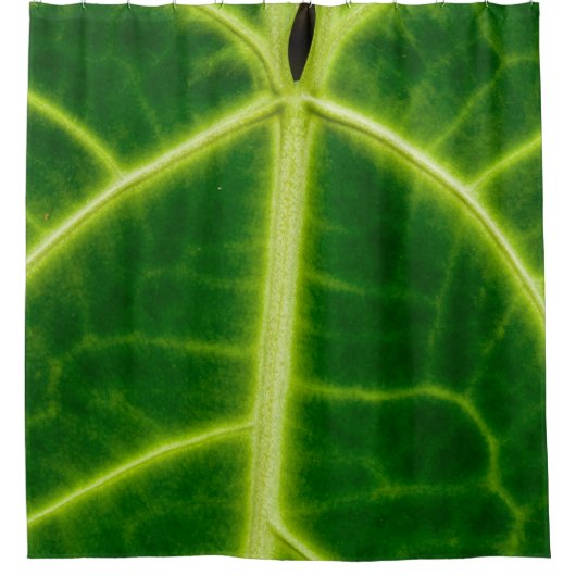 Green-leafed plant douchegordijn (Voorkant)