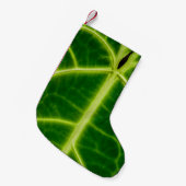 Green-leafed plant kleine kerstsok (Voorkant (Hangend))
