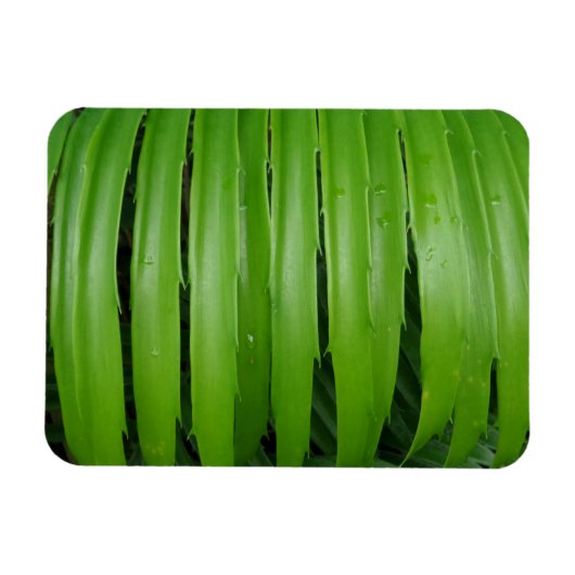 Green Leafs 3"x4"-magneet Magneet (Horizontaal)
