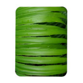 Green Leafs 3"x4"-magneet Magneet (Verticaal)