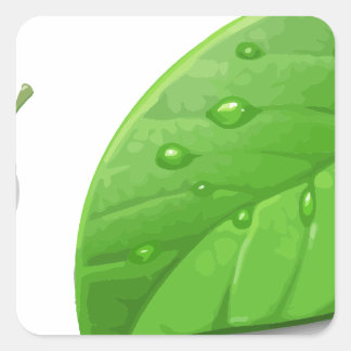 Green Leafs Vierkante Sticker